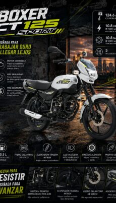 moto boxer